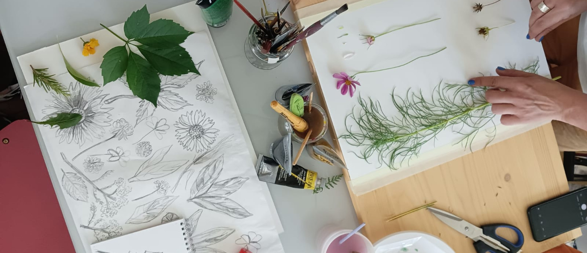 Corso di Illustrazione Botanica base